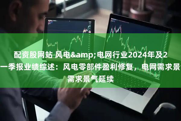 配资股网站 风电&电网行业2024年及2025年一季报业绩综述：风电零部件盈利修复，电网需求景气延续