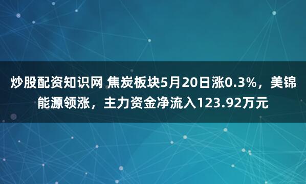 炒股配资知识网 焦炭板块5月20日涨0.3%，美锦能源领涨，主力资金净流入123.92万元