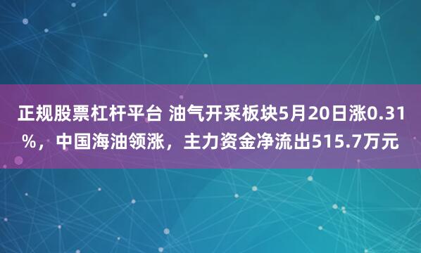 正规股票杠杆平台 油气开采板块5月20日涨0.31%，中国海油领涨，主力资金净流出515.7万元