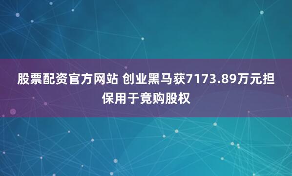 股票配资官方网站 创业黑马获7173.89万元担保用于竞购股权