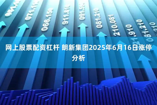 网上股票配资杠杆 朗新集团2025年6月16日涨停分析