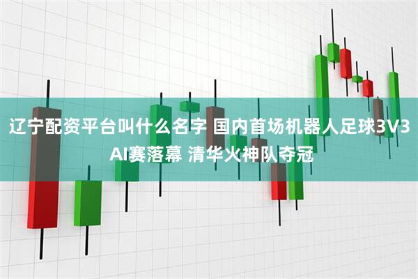 辽宁配资平台叫什么名字 国内首场机器人足球3V3 AI赛落幕 清华火神队夺冠